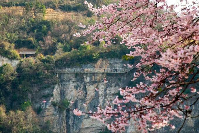 张家界美途品质游,张家界自驾车旅游攻略网