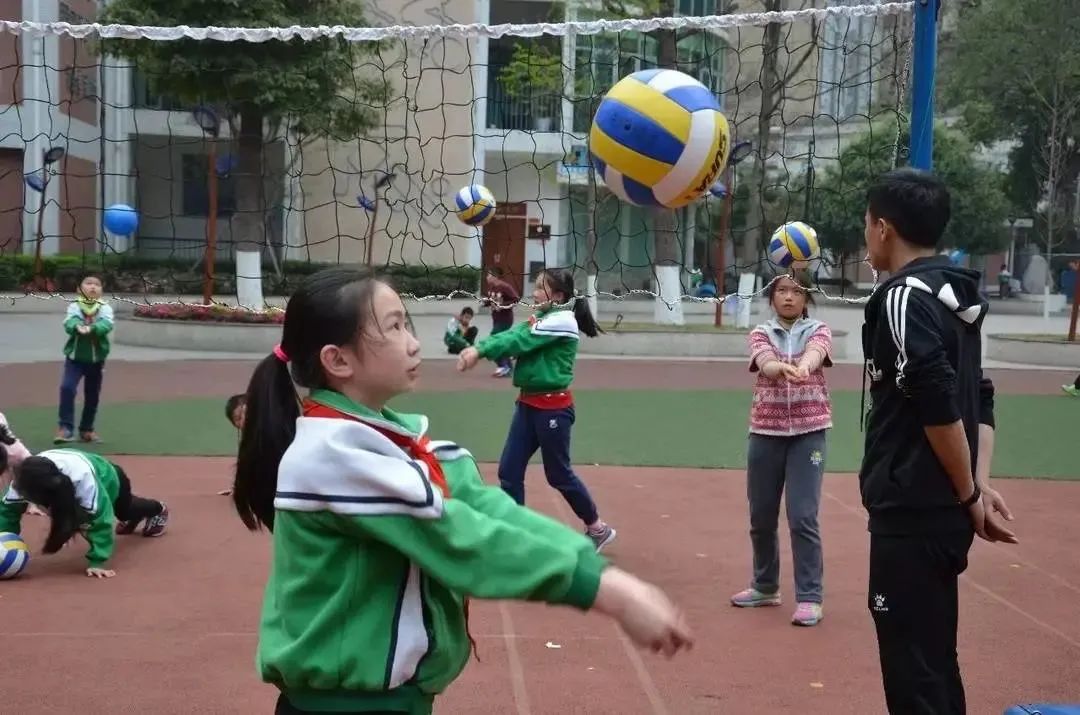 双减政策背景下小学课后延时服务,成都小学延时服务收费标准