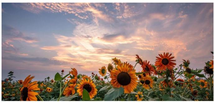 重温最美古诗词感悟怎么写,中国唯美古诗词赏析大全