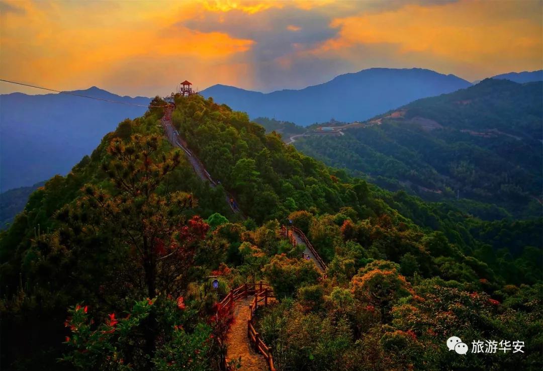 春风十里不如你，我在华安等着您