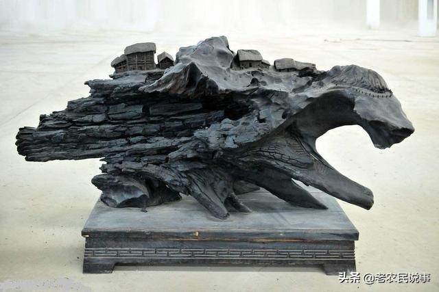 野外遇到这种树不要碰,怎么探索阴沉木