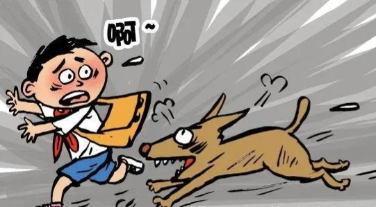 遇到狗怎样化解,狗狗得了细小自救方法