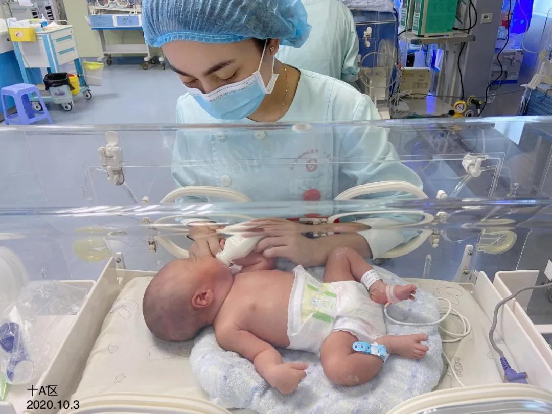 生命的坚守视频,生命的坚守