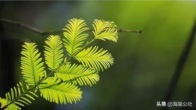 无锡十大免费公园排名榜最新,无锡晚上公园免费景点