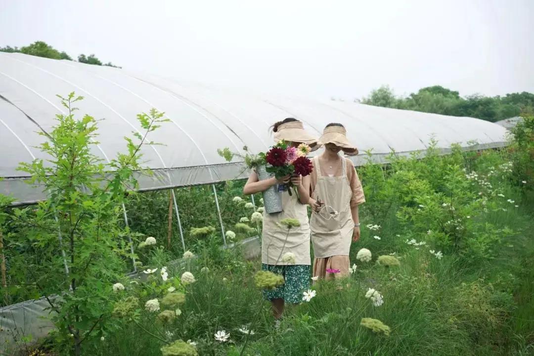 最会说情话的人全集,最会说情话的人