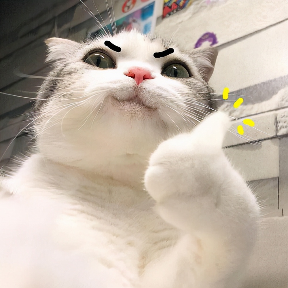 平时不化妆的女生适合哪款素颜霜,好用不脱妆不暗沉的素颜霜