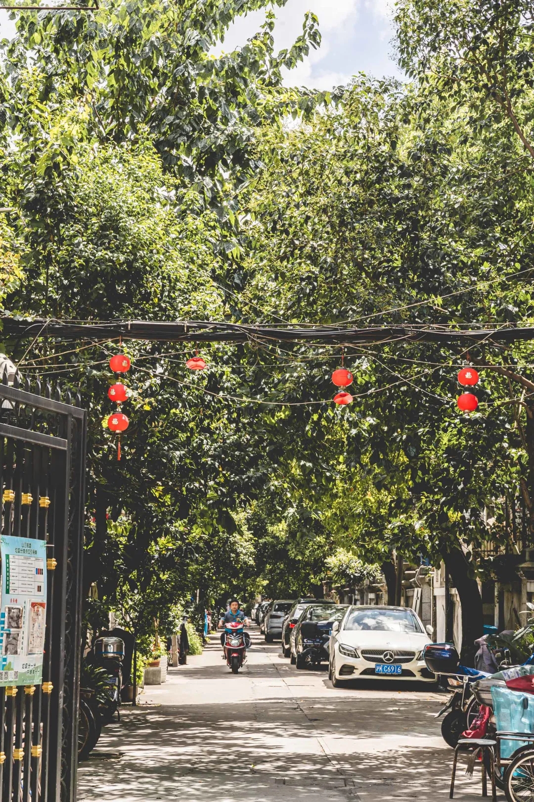 上海最有气质的马路,一条上海最文艺的马路