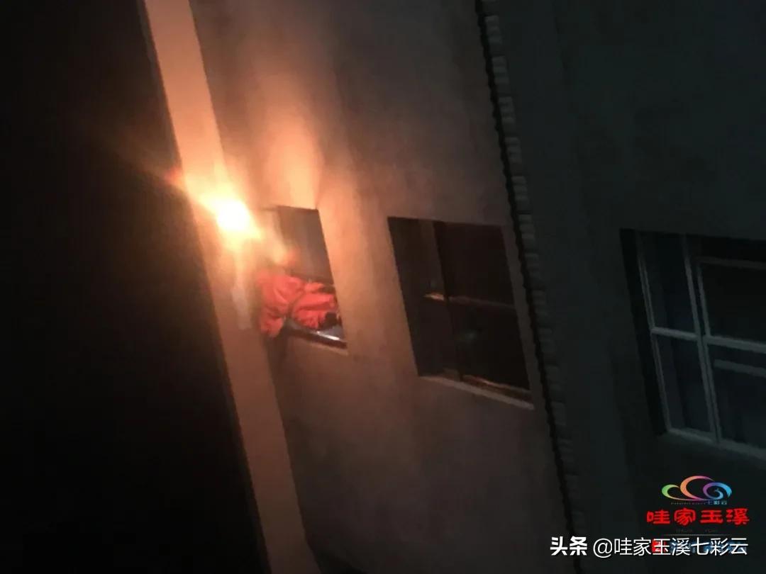 马蜂窝扰民消防救援,马蜂频繁扰民消防员火攻围剿