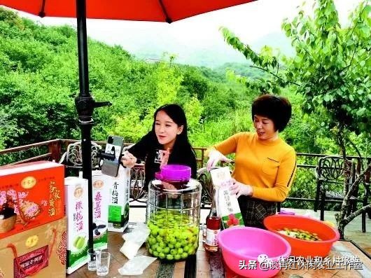 疫情过后哪些产业发展潜力大,疫情下的农村产业发展现状