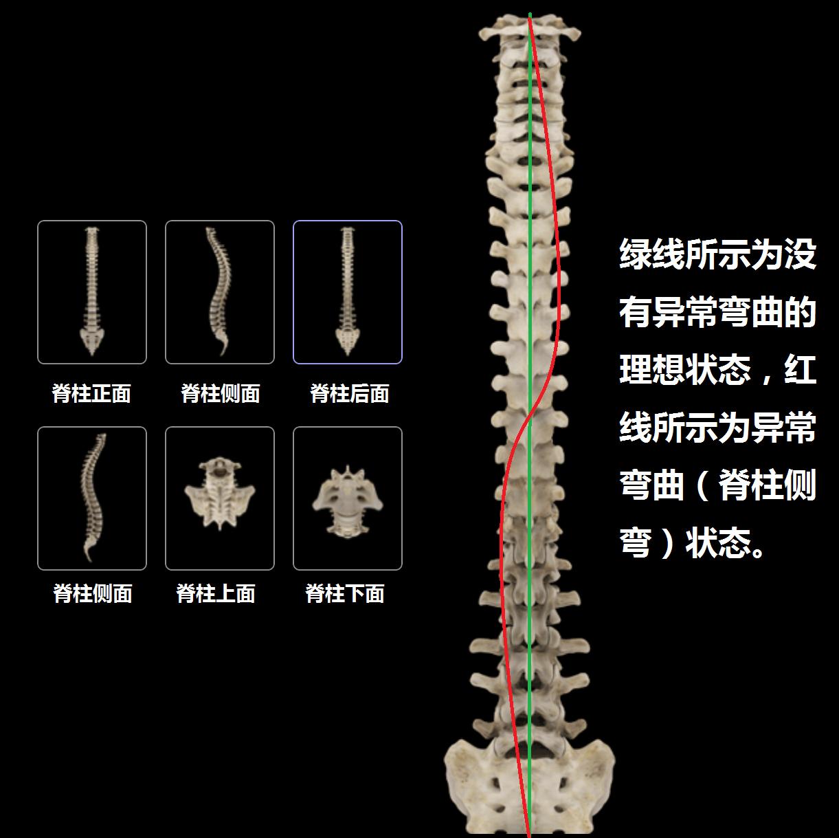 预防腰痛的正确方法,关于腰痛治疗方法有哪些