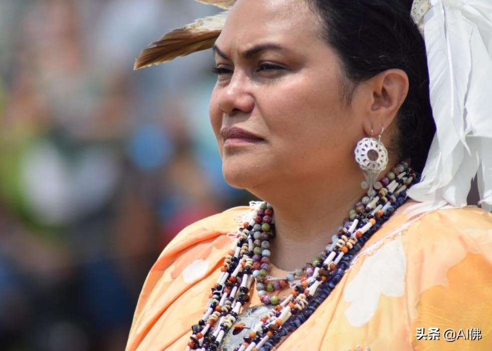 美洲原住民部落分布图,美国最牛印第安部落