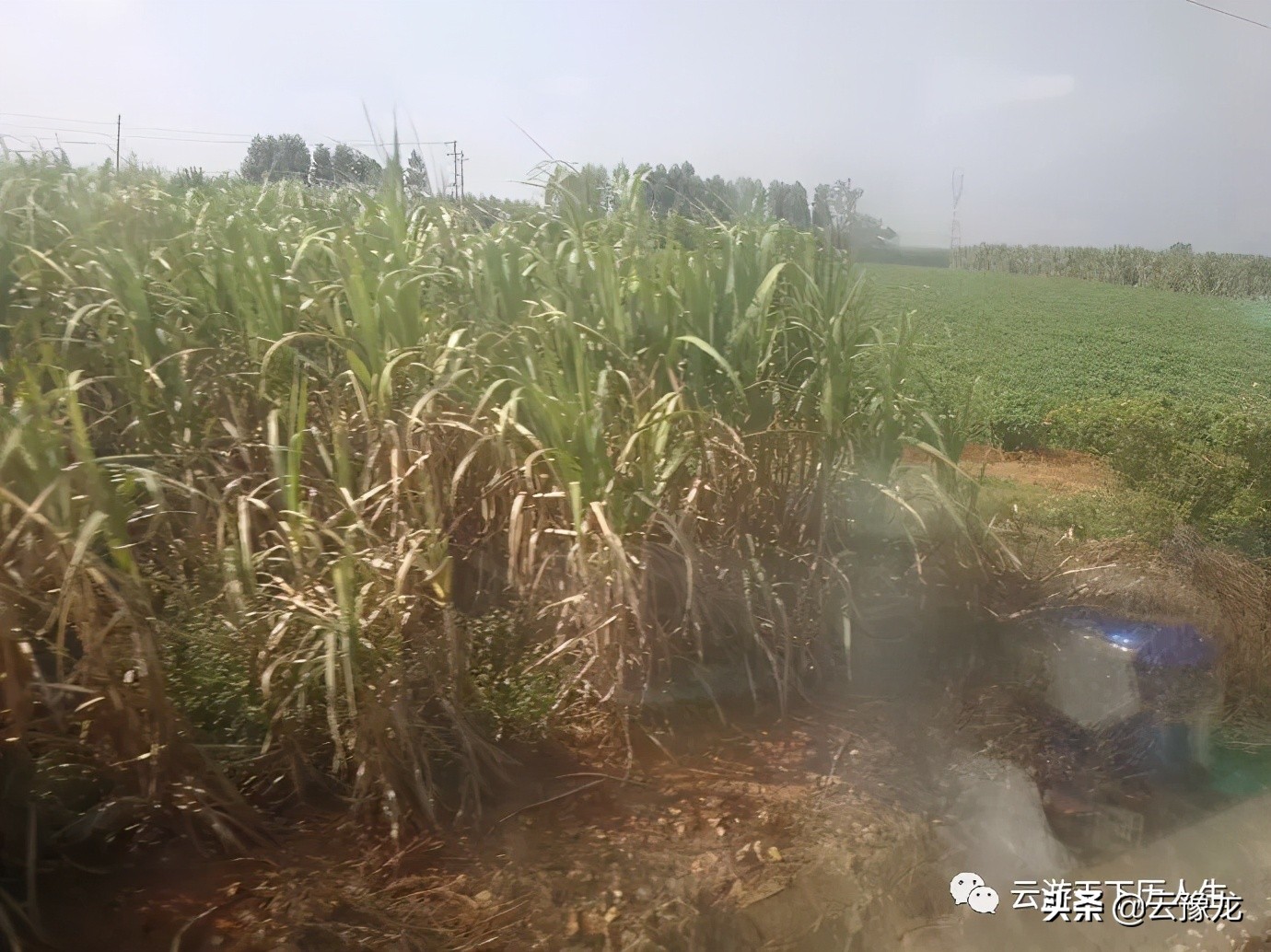 从湛江到海口火车,湛江到海口火车过海视频