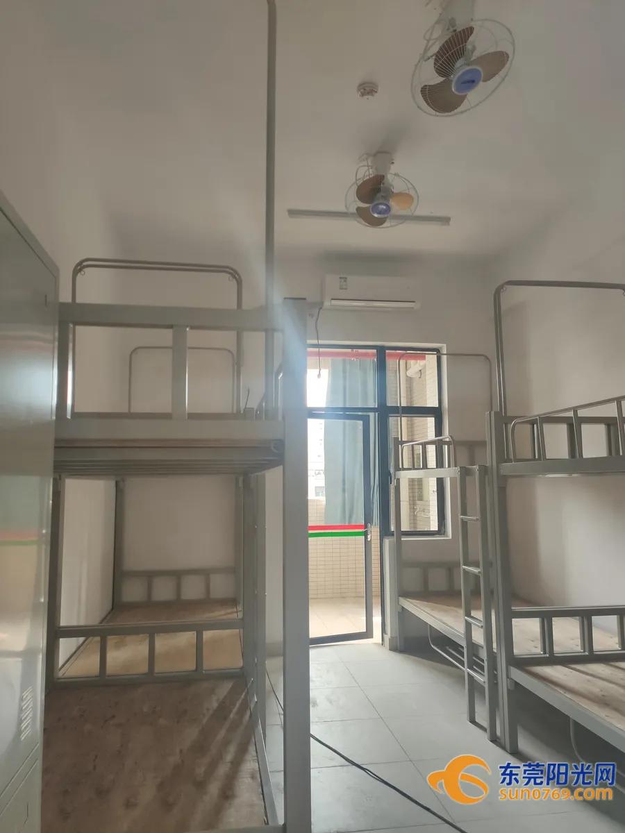 东莞这两年新增的公立学校,东莞市新增公办学校分布在哪里