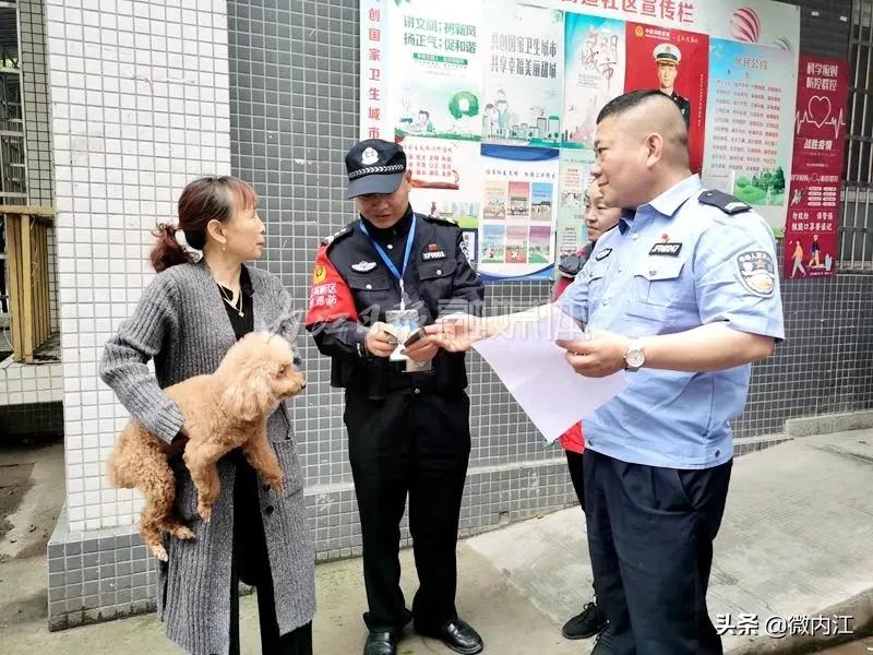 成都市最新养犬处罚规定,养狗条例出台禁养犬如何处理