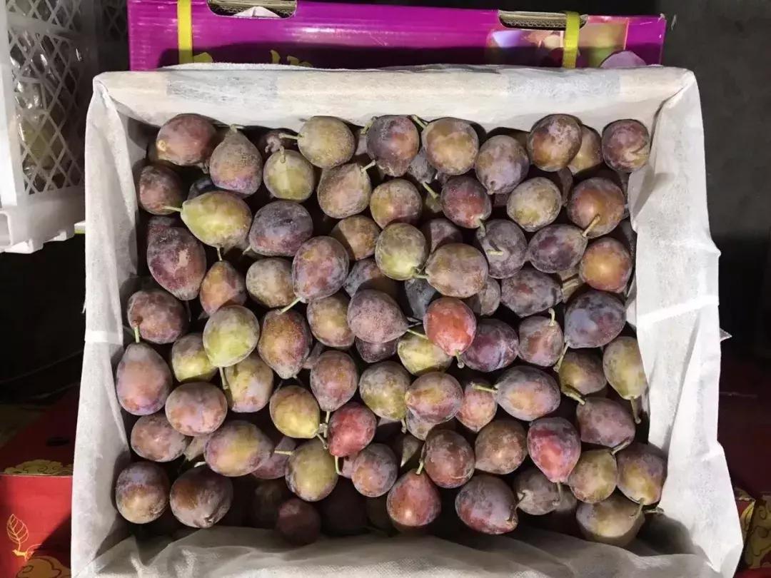 进口的水果有哪些,进口水果价格高的解决办法