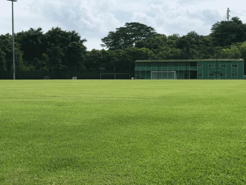 广州富力足球队历史,富力广州城足球俱乐部