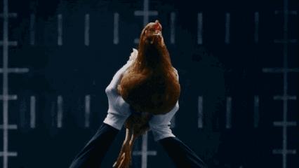 地狱式拖油瓶,地域拖油瓶