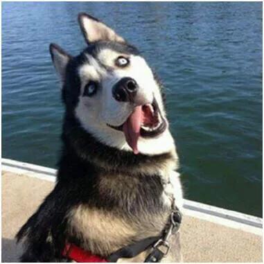 淘宝优惠券商城赚钱是真的吗,淘宝内部优惠券群骗局