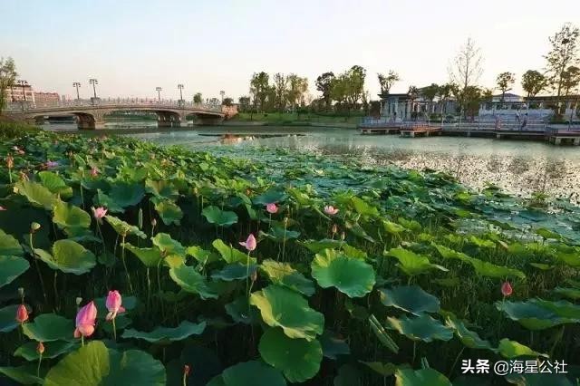 无锡十大免费公园排名榜最新,无锡晚上公园免费景点