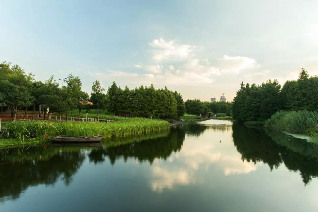 浦东24小时不打烊图书馆,浦东滨江世博文化公园