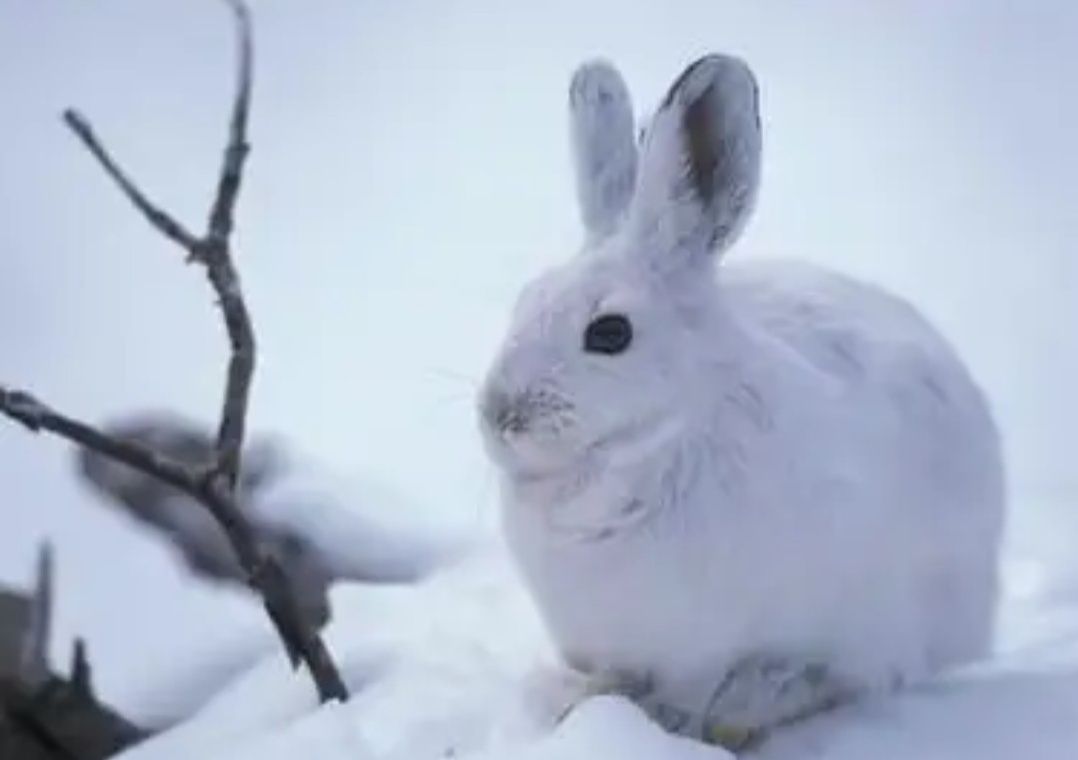 早上不扫地习俗,早晨不割秧晌午不摘瓜是什么意思