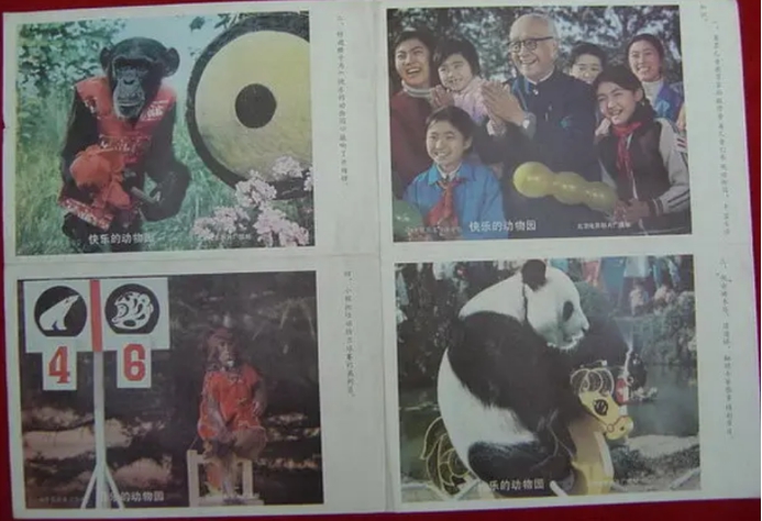 尘封的宝藏，童年的记忆：《动物王国窃案》及那些被遗忘的神作