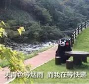 海淘为什么会被税,跨境电商科普视频