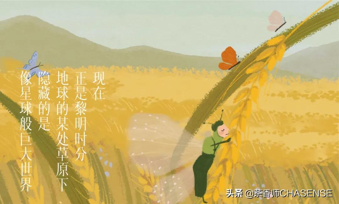 茶香师早春之茶香水 (茶香师香水小样礼盒)