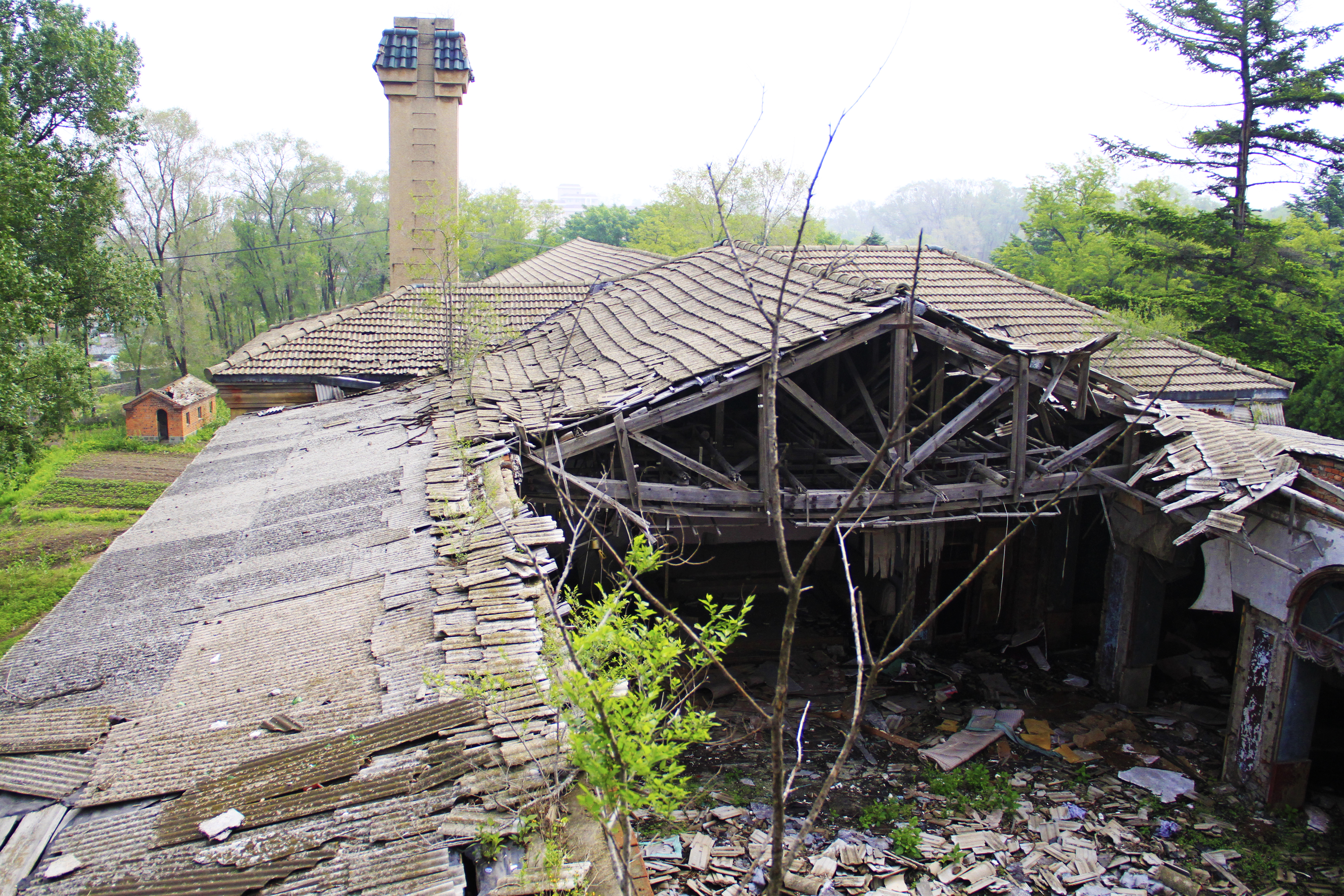 溥仪皇帝在东北的行宫,白城伪满皇宫溥仪行宫