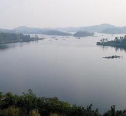 大李水库最新鱼情,各大水库近期鱼情