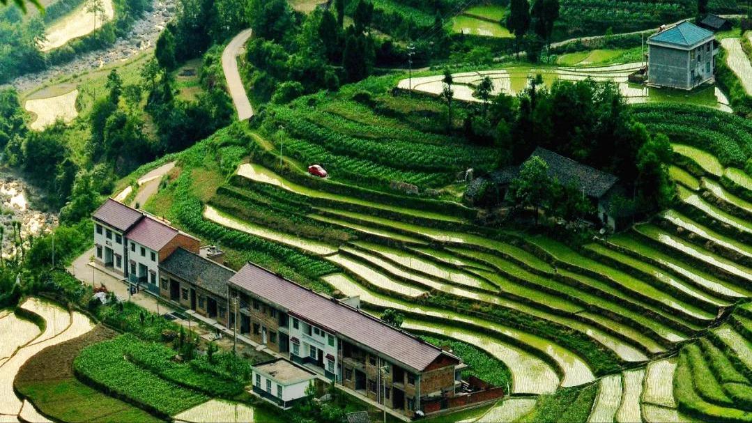 汉中谁的信鸽最好,绵阳和汉中谁的气候好