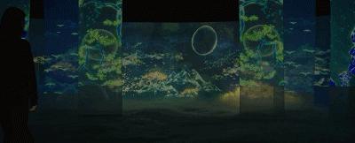 黑暗迷宫超大型环绕实景迷宫,巨型沉浸式迷宫