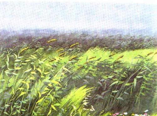 舌尖上的中国百年相传美食,舌尖上的中国美食教材书