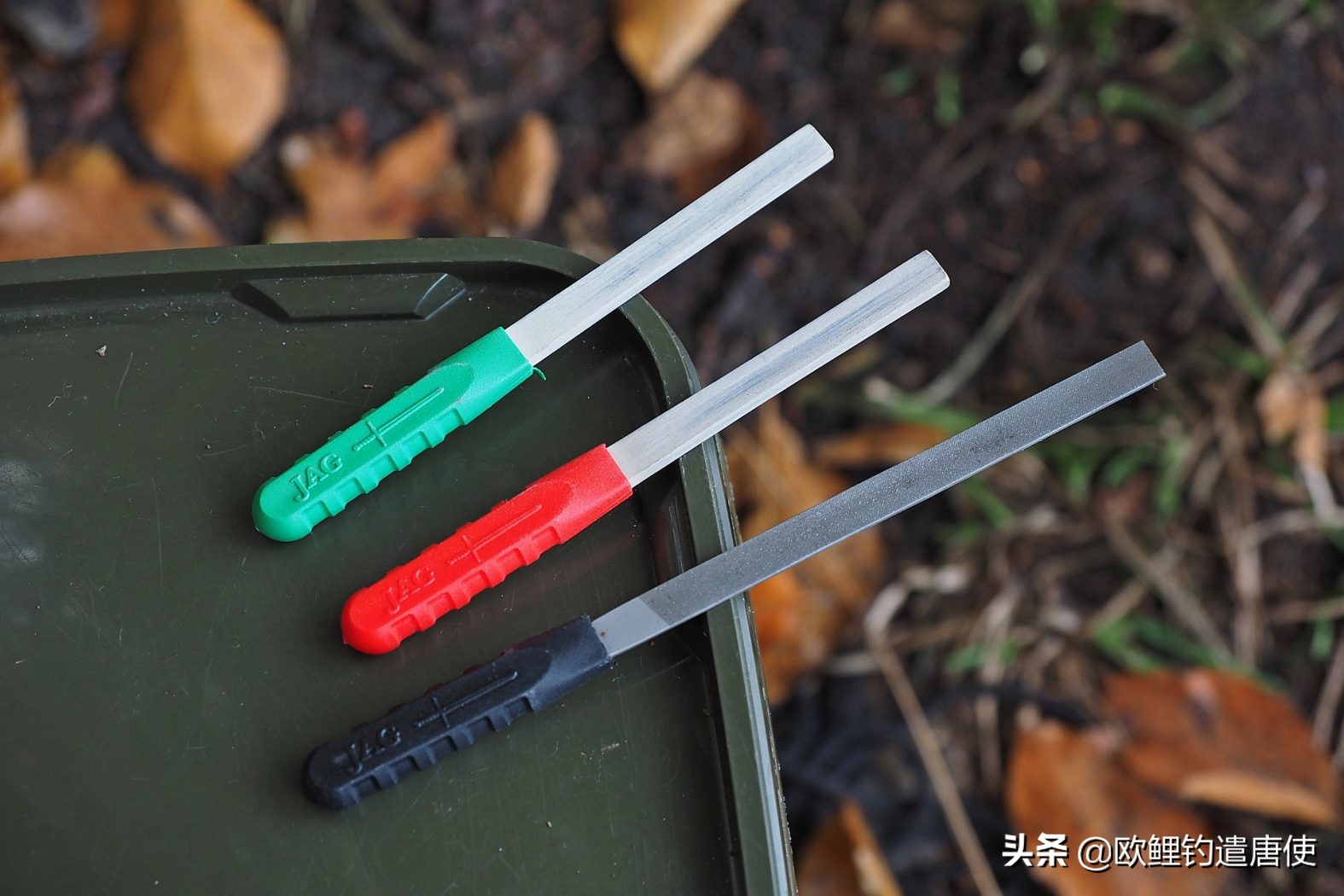 欧鲤钓真正的挂饵方法,欧鲤钓法视频教程大全