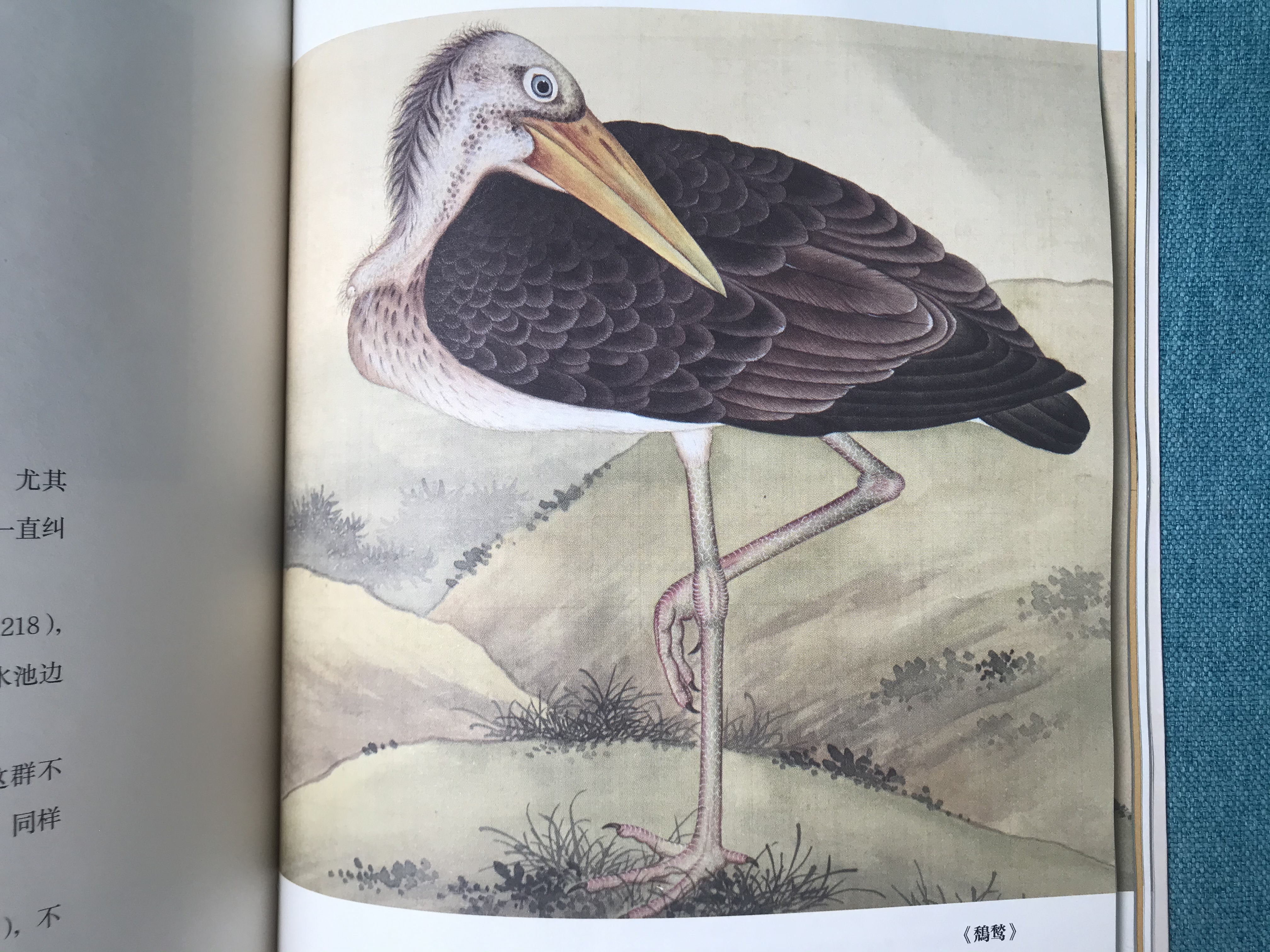 真正让曹操害怕的五位猛将将是谁,让曹操害怕的五大名将