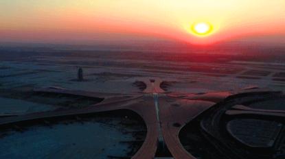 凤凰展翅，飞向未来