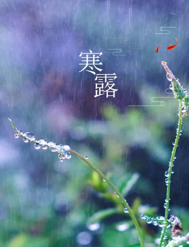 古人咏寒露的诗词,寒露古诗词鉴赏