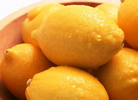 「创澳分享」荟香科主要种属有哪些