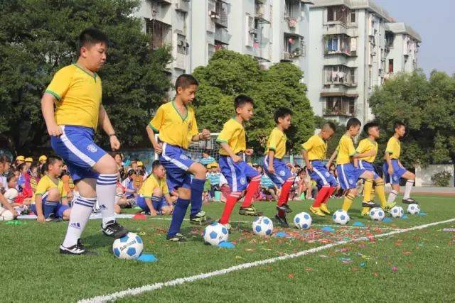 董路谈欧洲青训对抗,董路对话日本青训教练