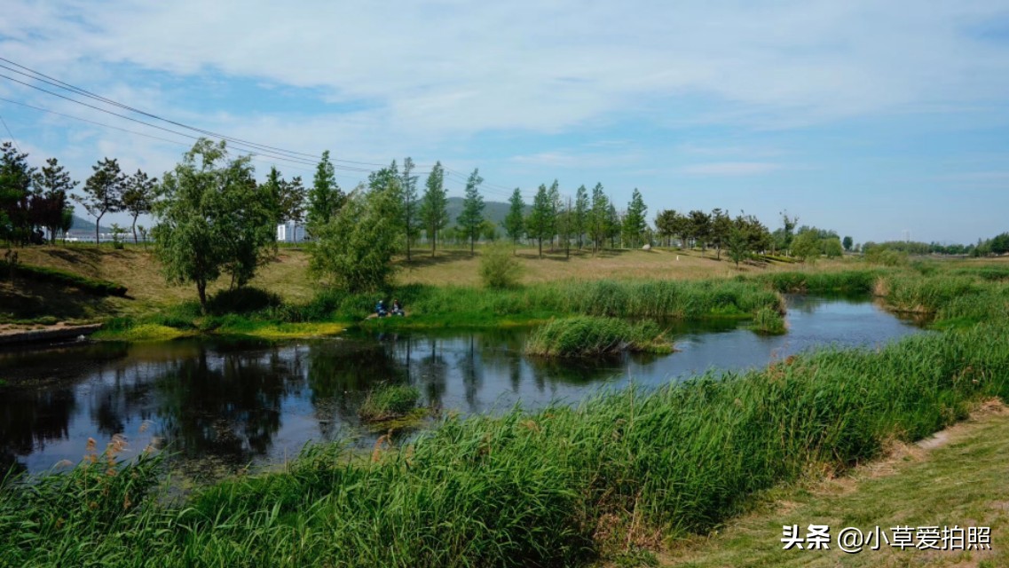 威海十一月羊亭公园,威海羊亭公园最新视频