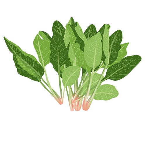 不能喝奶怎么补钙,补钙喝奶粉还是纯奶好