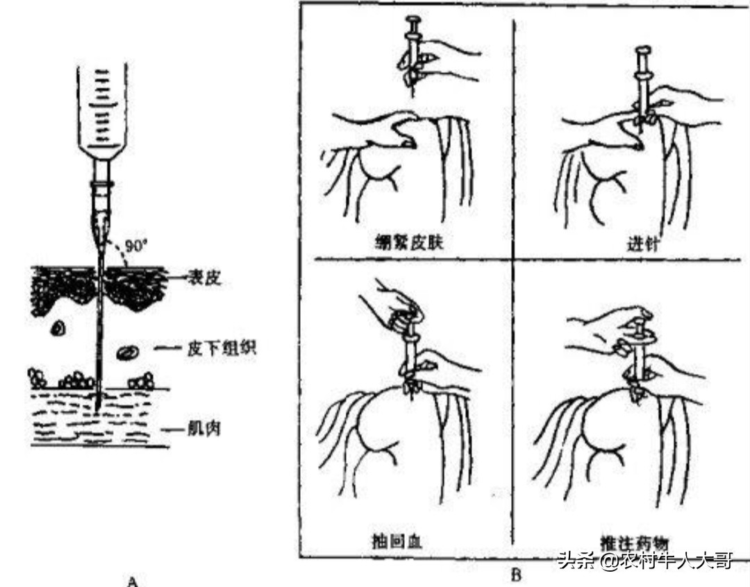 ,第三章牛场管理标准化之疾病防控