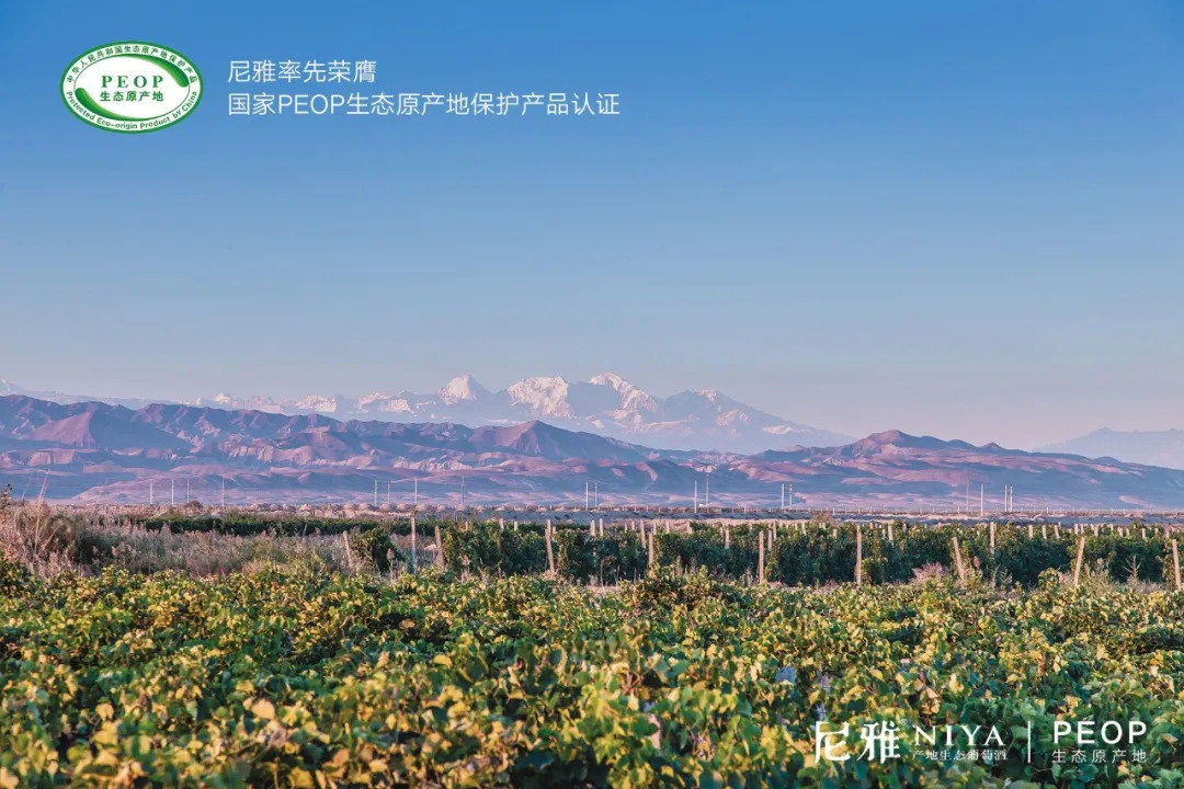 云上首发战略新品，尼雅靠什么让酒商卖得动、卖得快、卖得多？