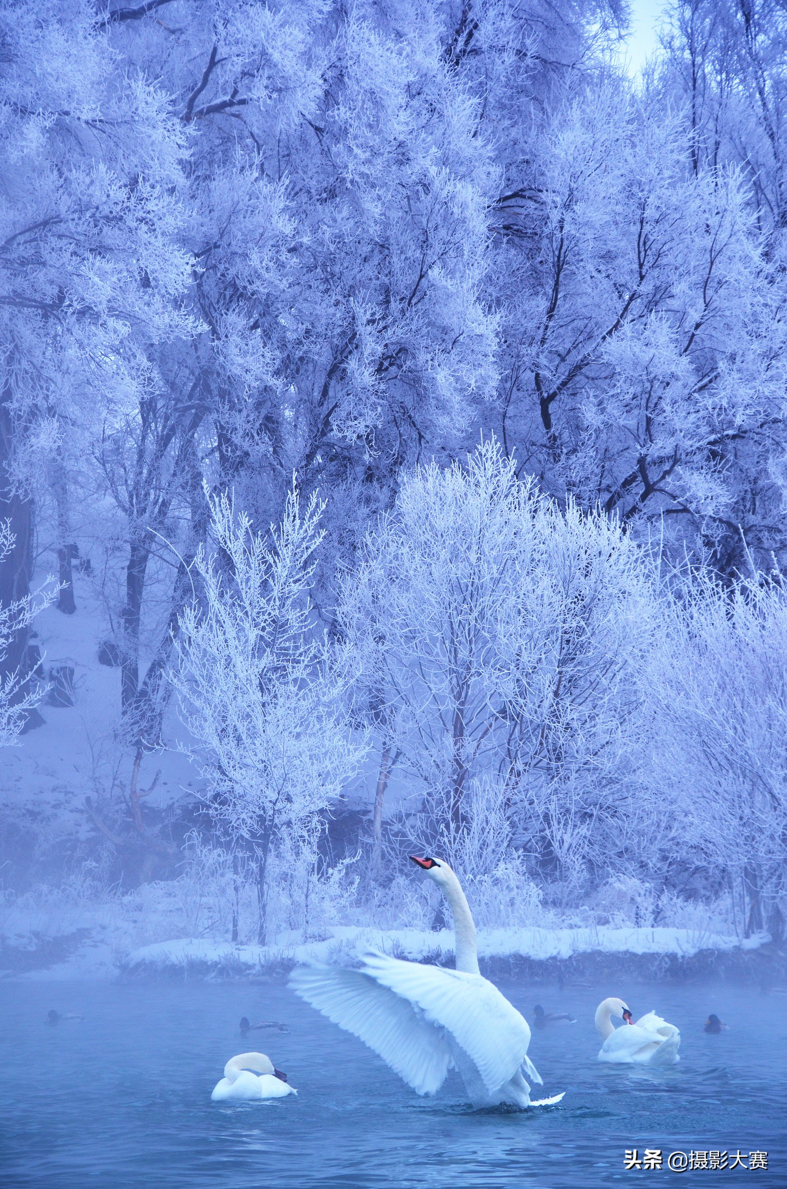 有你吗原版答案,有你吗视频完整版