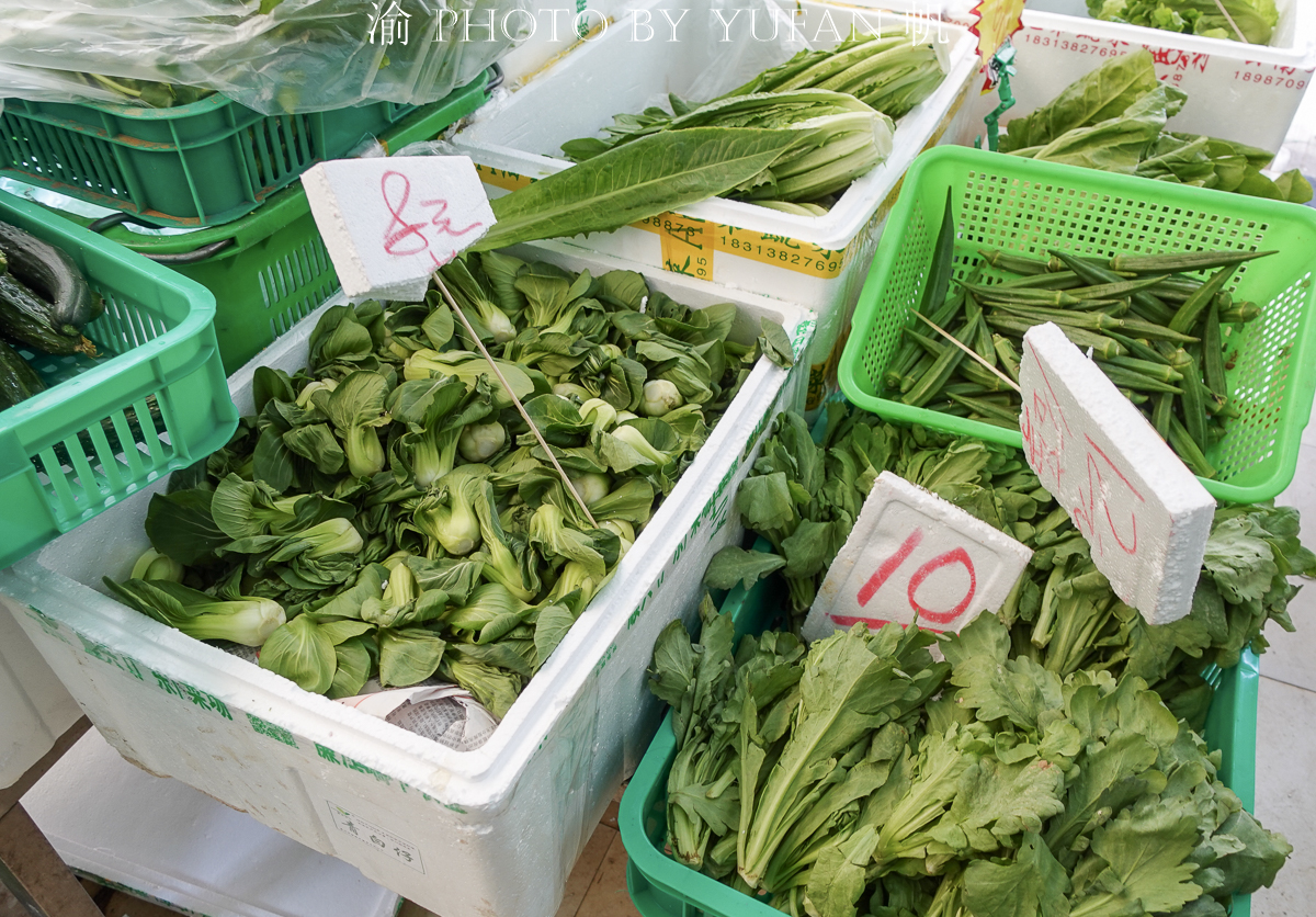 澳门值得逛的菜市场,澳门老街菜市场