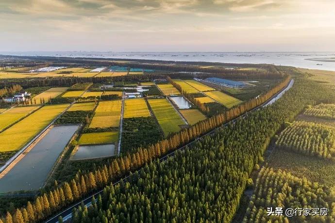 佘山纯独栋别墅前景,佘山别墅楼盘138-150平米
