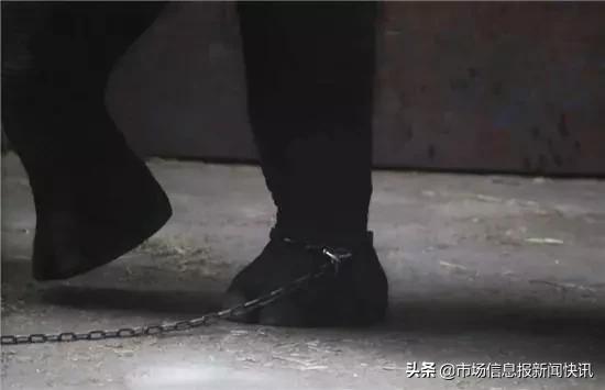 长沙一头大象踩死驯兽员官方回应,长沙动物园驯兽师被大象踩死了