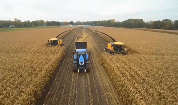 双11不看价格买手机,双11你们准备买什么呀