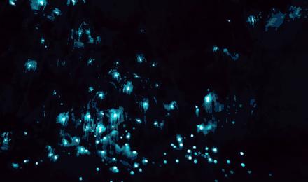 2023年lv哪款最流行,最新款lv在哪里上市