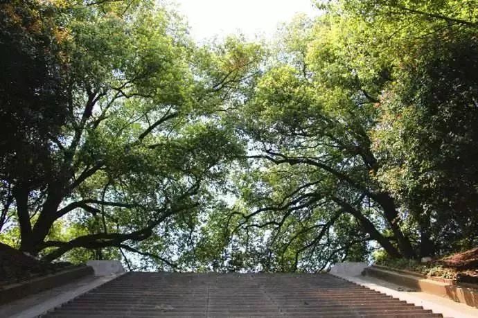 南京免费公园免费开放日一览表,南京免费公园景点推荐